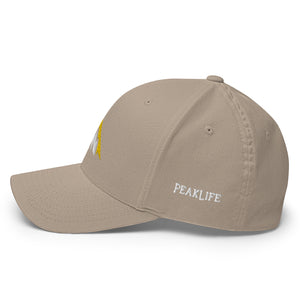 PEAKLIFE Flexfit fitted hat